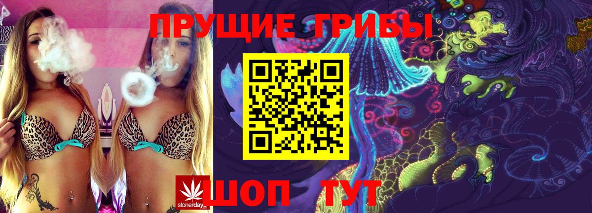 купить   Вход с VPN  Арзамас  Псилоцибиновые грибы MAGIC MUSHROOMS 